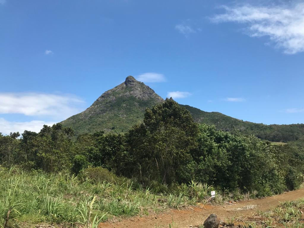 Terrain agricole de 12662 m2 en vente à St Pierre, centre, île Maurice – LexpressProperty.com | 224382 | Ref01