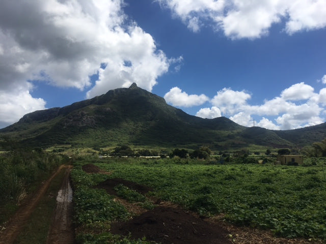 Terrain agricole de 33766 m2 en vente à St Pierre, centre, île Maurice – LexpressProperty.com | 203271 | Ref01