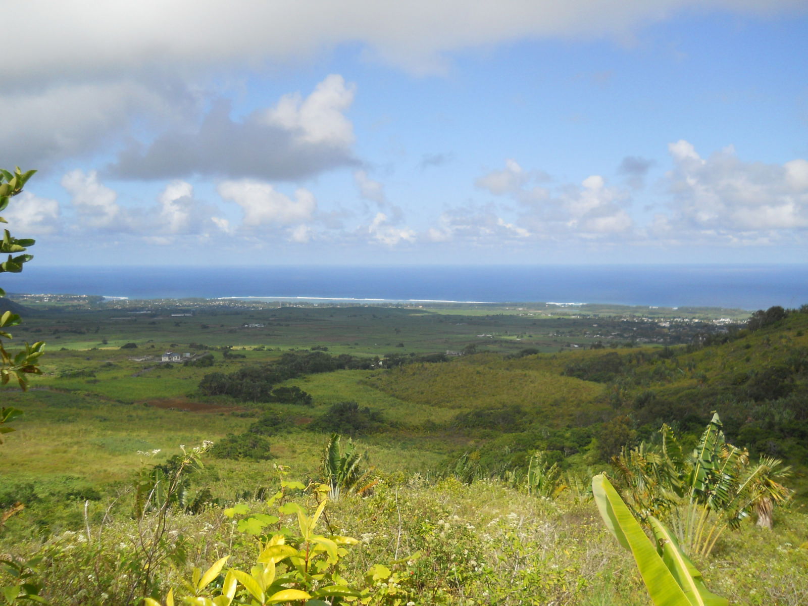 Terrain agricole de 16880 m2 en vente à Mont Blanc, sud, île Maurice – LexpressProperty.com | 201628 | Ref01