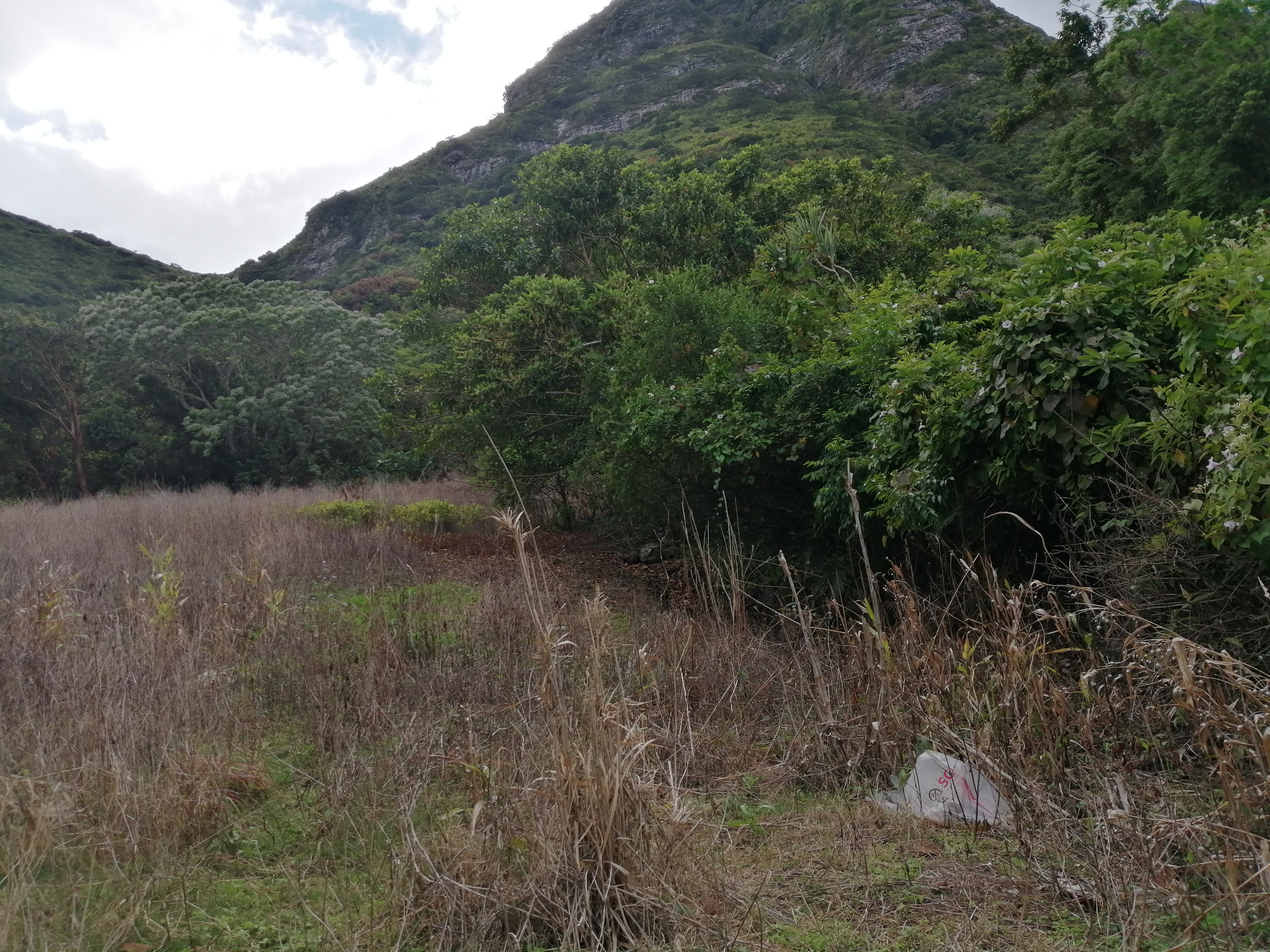Terrain agricole de 844.174 m² en vente à La Laura, centre, île Maurice – LexpressProperty.com | 241819 | Ref01