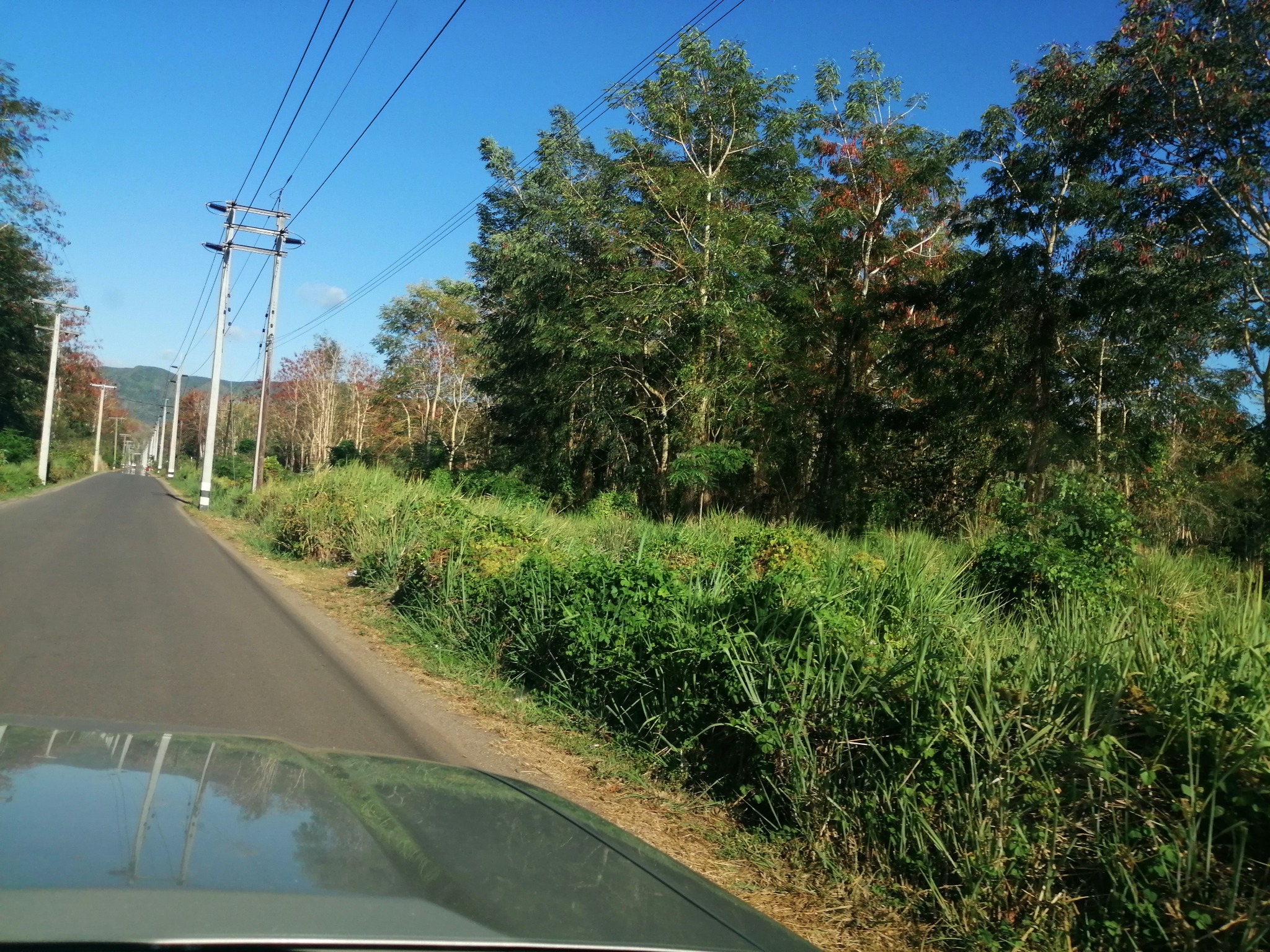 Agricultural land of 4220.87 m² for sale in Black River, west, Mauritius – LexpressProperty.com | 262392 | Ref01