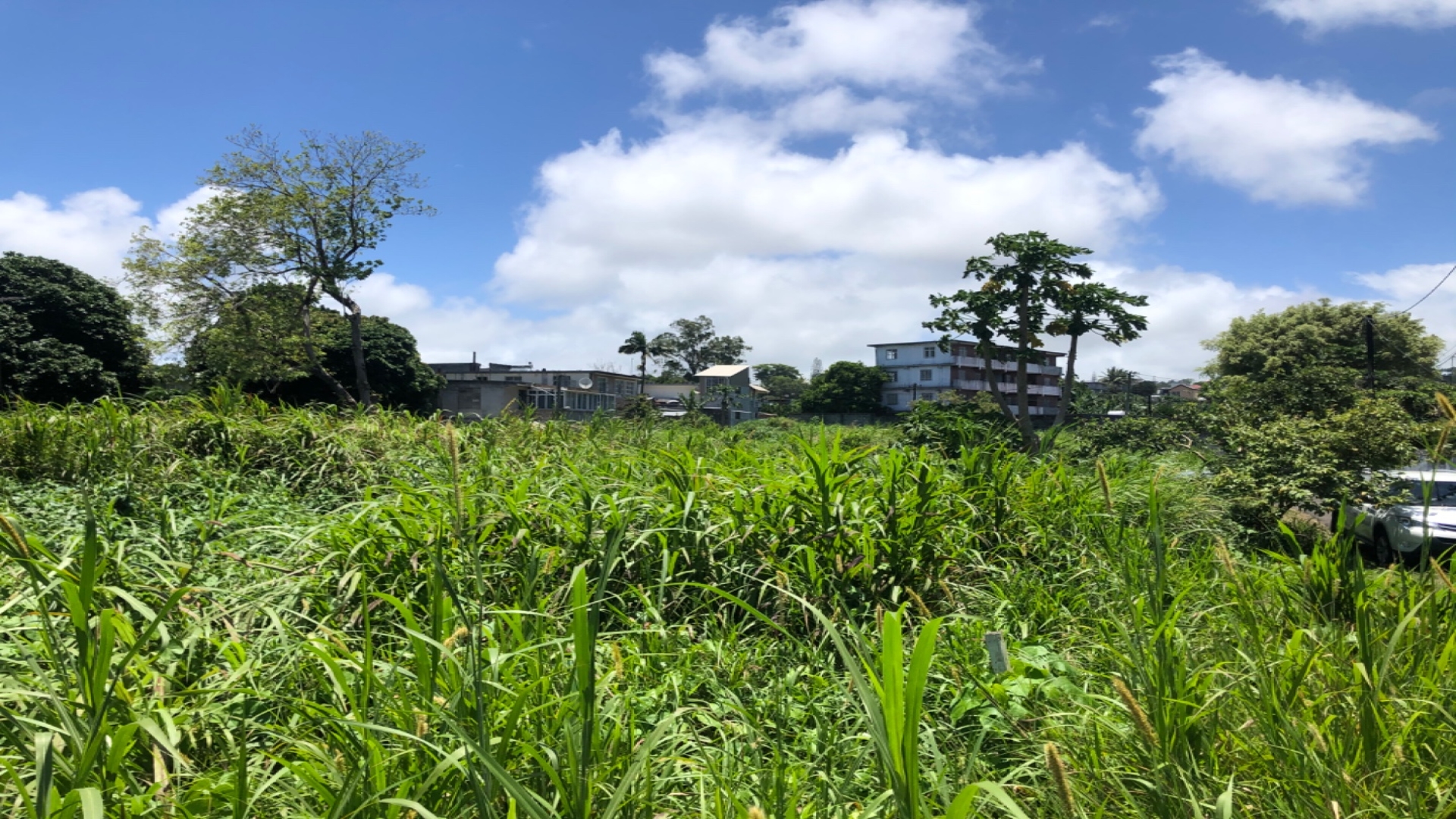 Terrain résidentiel de 3883 m2 en vente à Vacoas, centre, île Maurice – LexpressProperty.com | 250014 | Ref01