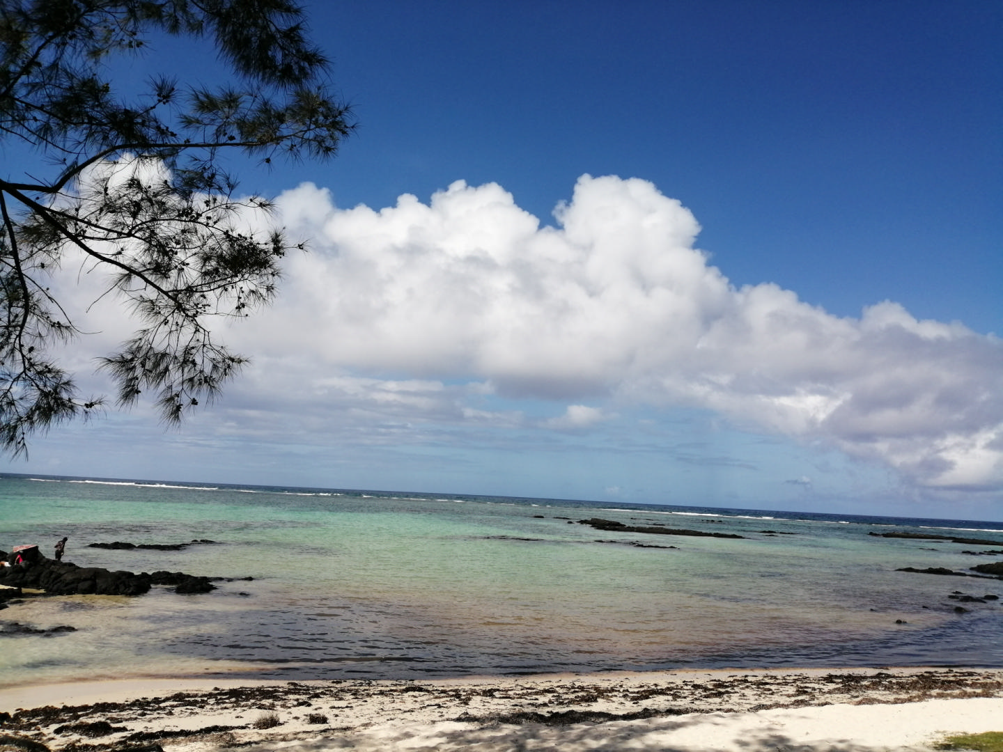 Townhouse / Duplex 2 Chambre(s) en location à Palmar, est, île Maurice – LexpressProperty.com | 252526 | Ref01