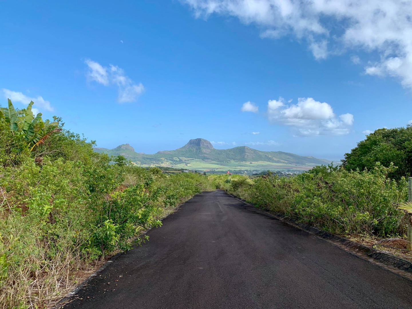 Agricultural land of 2120 m2 for sale in Pamplemousses, north, Mauritius – LexpressProperty.com | 249627 | Ref01