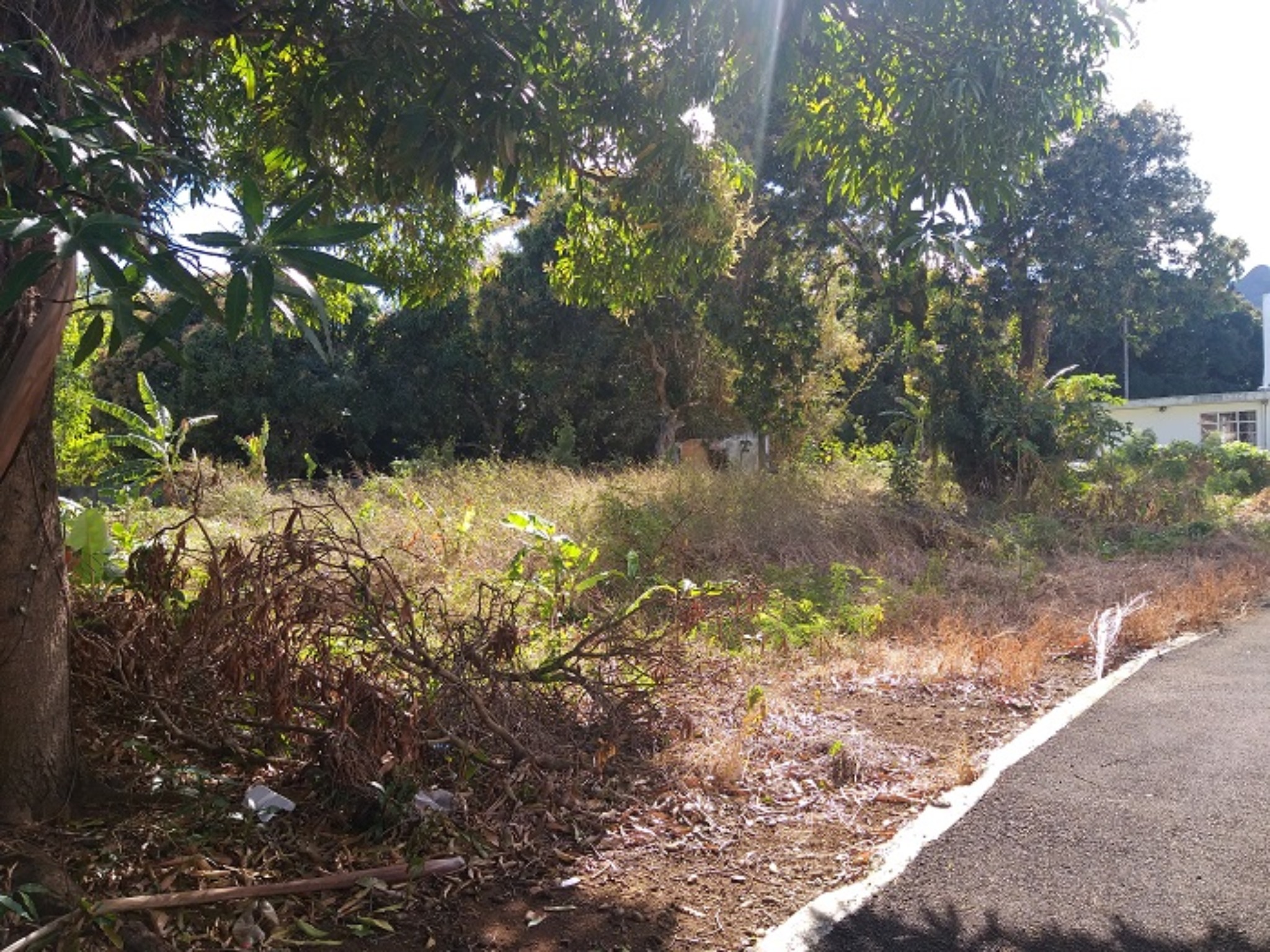 Residential land of 752.23368 toise for sale in Beau Bassin, center, Mauritius – LexpressProperty.com | 252749 | Ref01