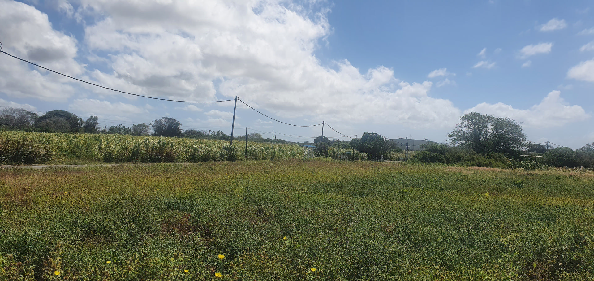 Agricultural land of 98138 m2 for sale in Rivière du Rempart, north, Mauritius – LexpressProperty.com | 281284 | Ref01