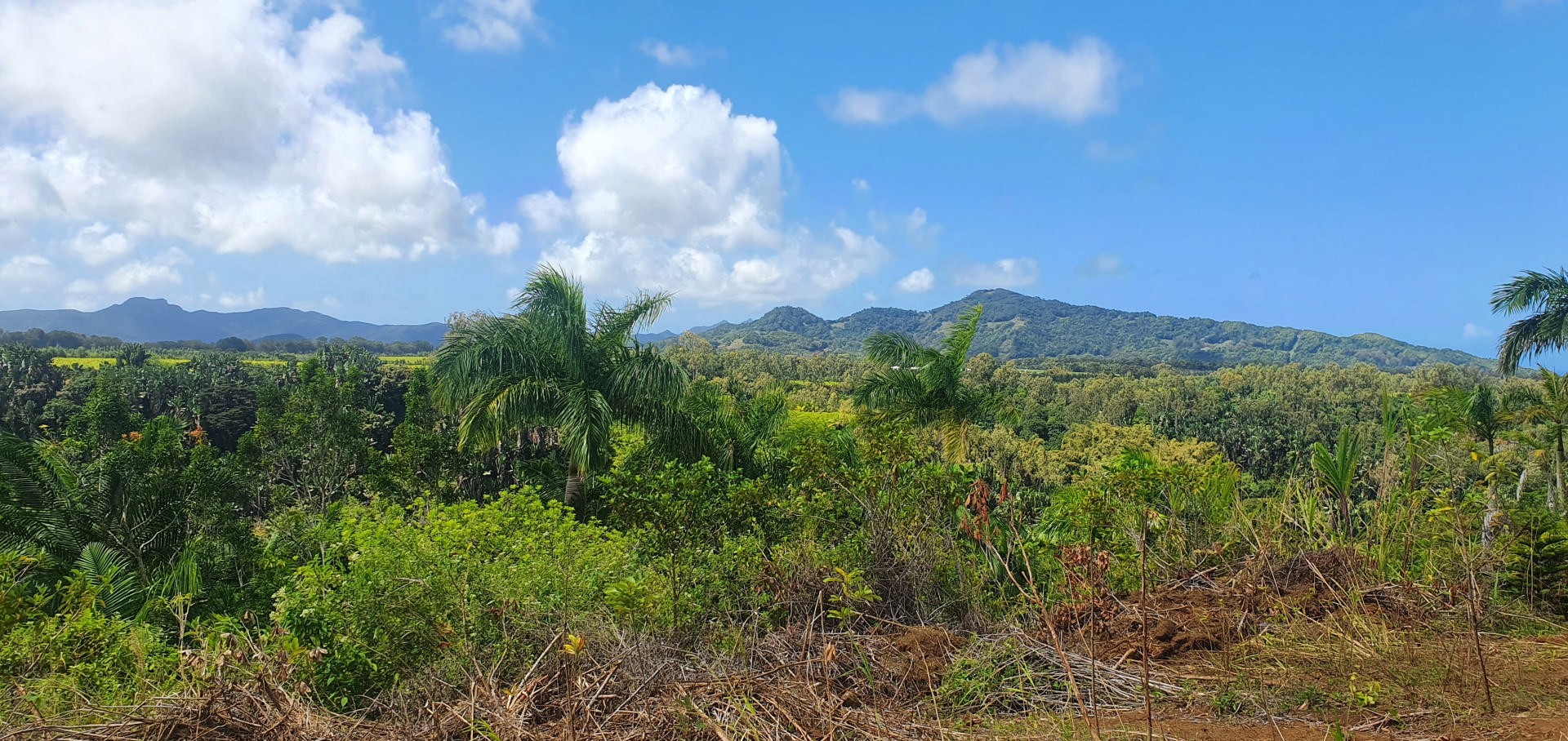 Terrain agricole de 4221 m2 en vente à Deux Bras, sud, île Maurice – LexpressProperty.com | 281480 | Ref01