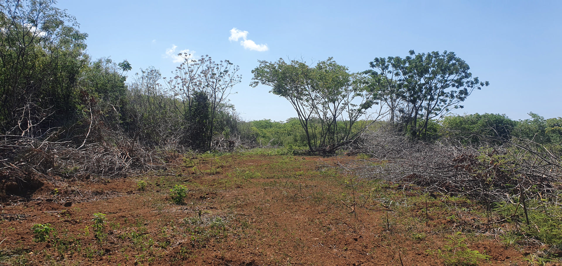Agricultural land of 4221 m2 for sale in Anse la raie, north, Mauritius – LexpressProperty.com | 283557 | Ref01