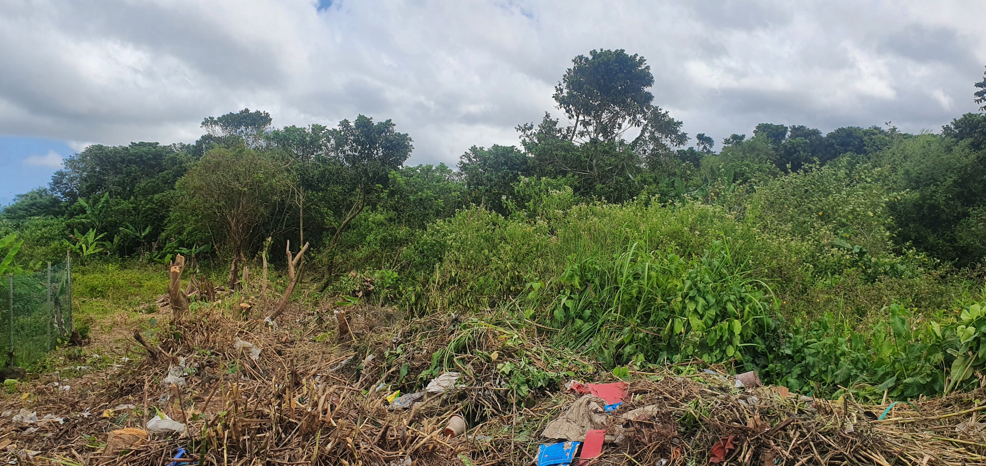 Terrain résidentiel de 1435 m2 en vente à Grand Bois, sud, île Maurice – LexpressProperty.com | 283572 | Ref01