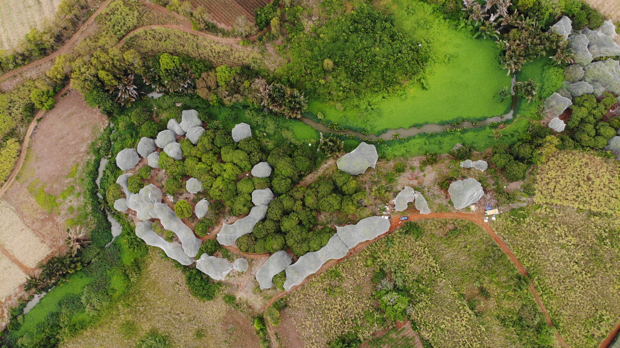 Agricultural land of 18572 m2 for sale in d'Epinay, north, Mauritius – LexpressProperty.com | 283924 | Ref01