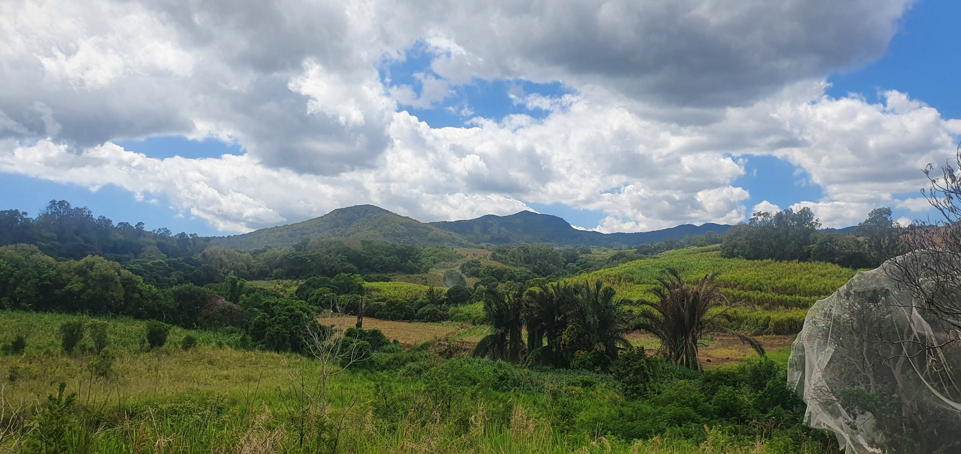 Agricultural land of 18572 m2 for sale in d'Epinay, north, Mauritius – LexpressProperty.com | 285649 | Ref01