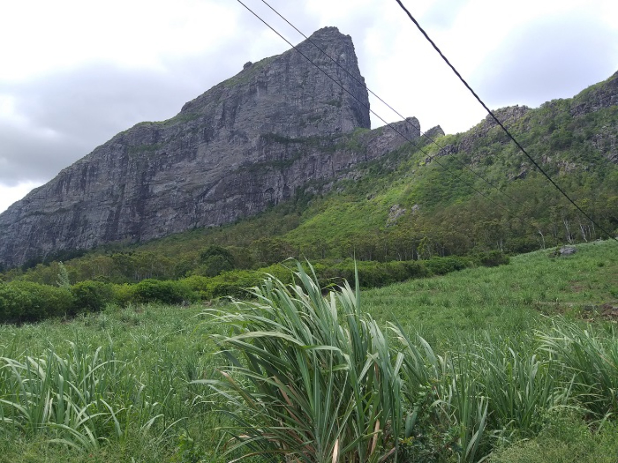 Residential land of 2089.538 toise for sale in Quatre Bornes, center, Mauritius – LexpressProperty.com | 265402 | Ref01