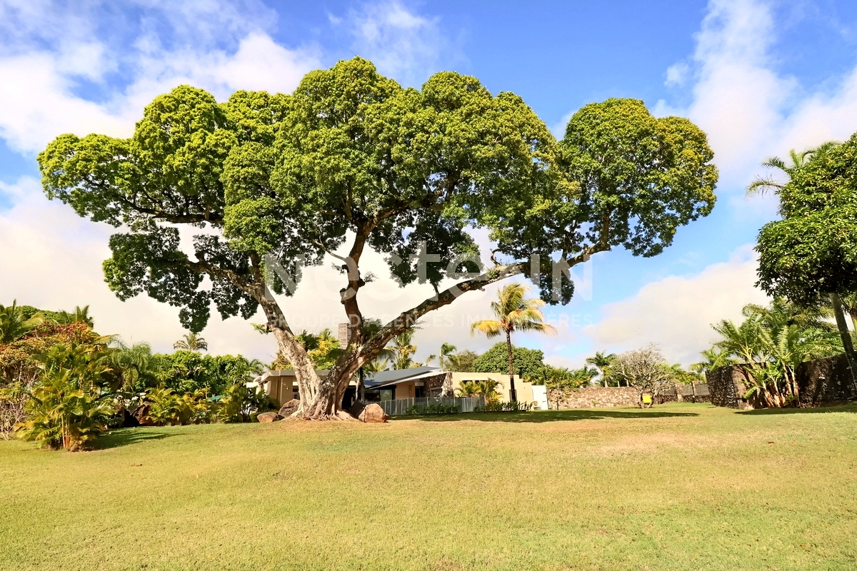 House / Villa of 4 bedrooms for rent in Forêt Daruty, north, Mauritius – LexpressProperty.com | 254910 | Ref01