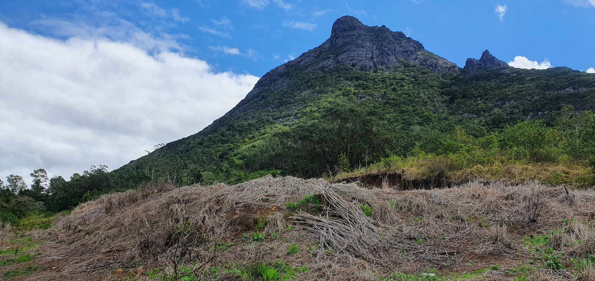 Agricultural land of 1893 m2 for sale in Moka, center, Mauritius – LexpressProperty.com | 279296 | Ref01