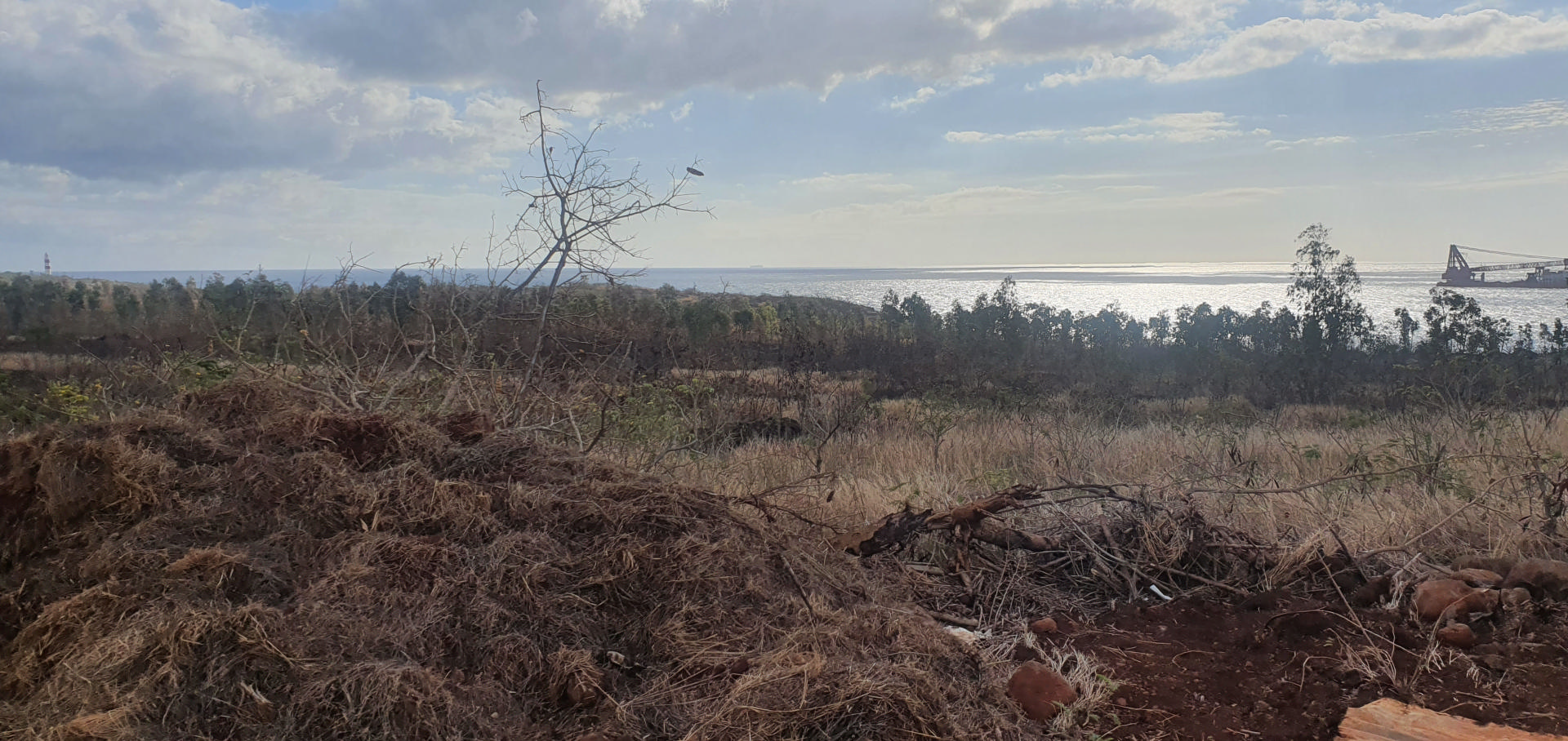Residential land of 28955 m2 for sale in Albion, west, Mauritius – LexpressProperty.com | 279562 | Ref01