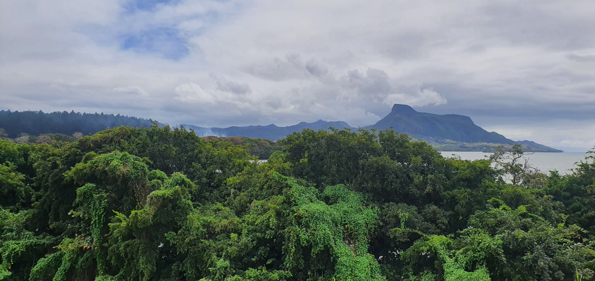 Terrain résidentiel de 21105 m2 en vente à Petit Bel Air, sud, île Maurice – LexpressProperty.com | 280329 | Ref01