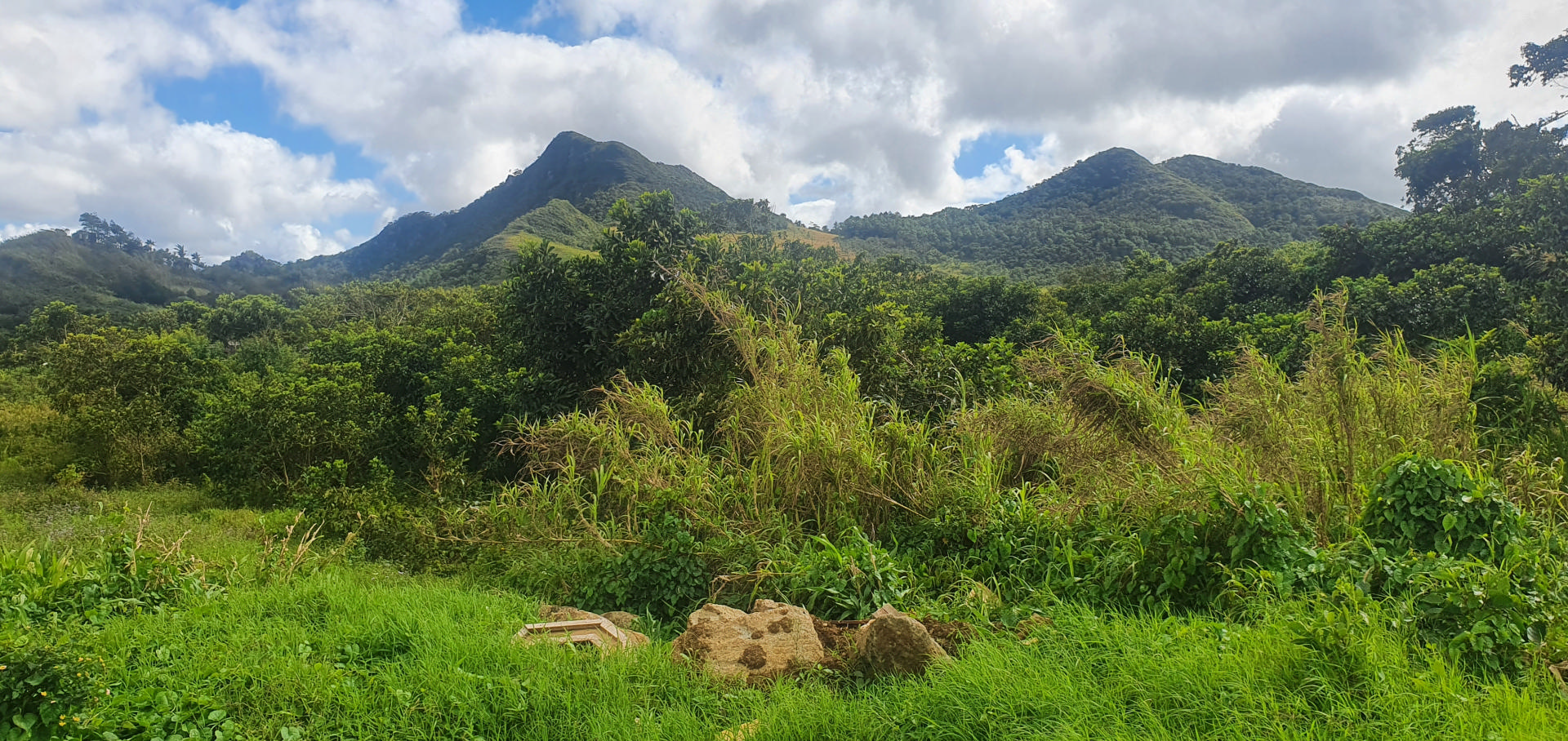 Terrain agricole de 4221 m2 en vente à Nouvelle Découverte, centre, île Maurice – LexpressProperty.com | 279854 | Ref01