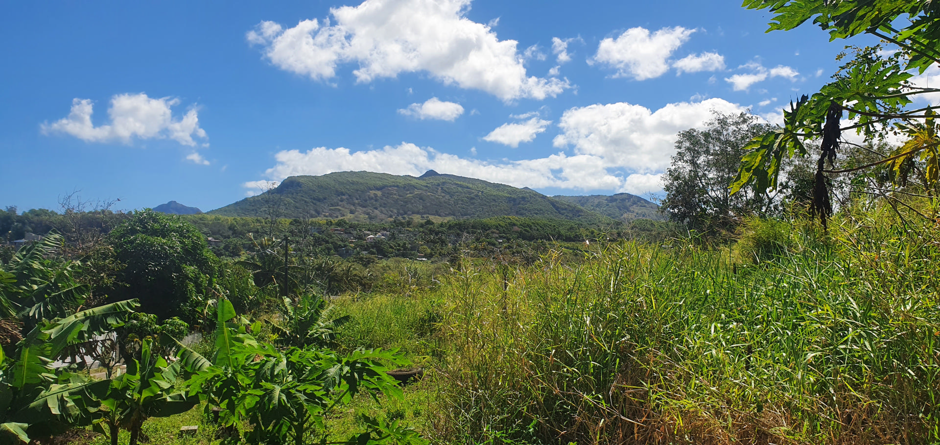 Residential land of 6519 m2 for sale in Baie du Cap, south, Mauritius – LexpressProperty.com | 279847 | Ref01