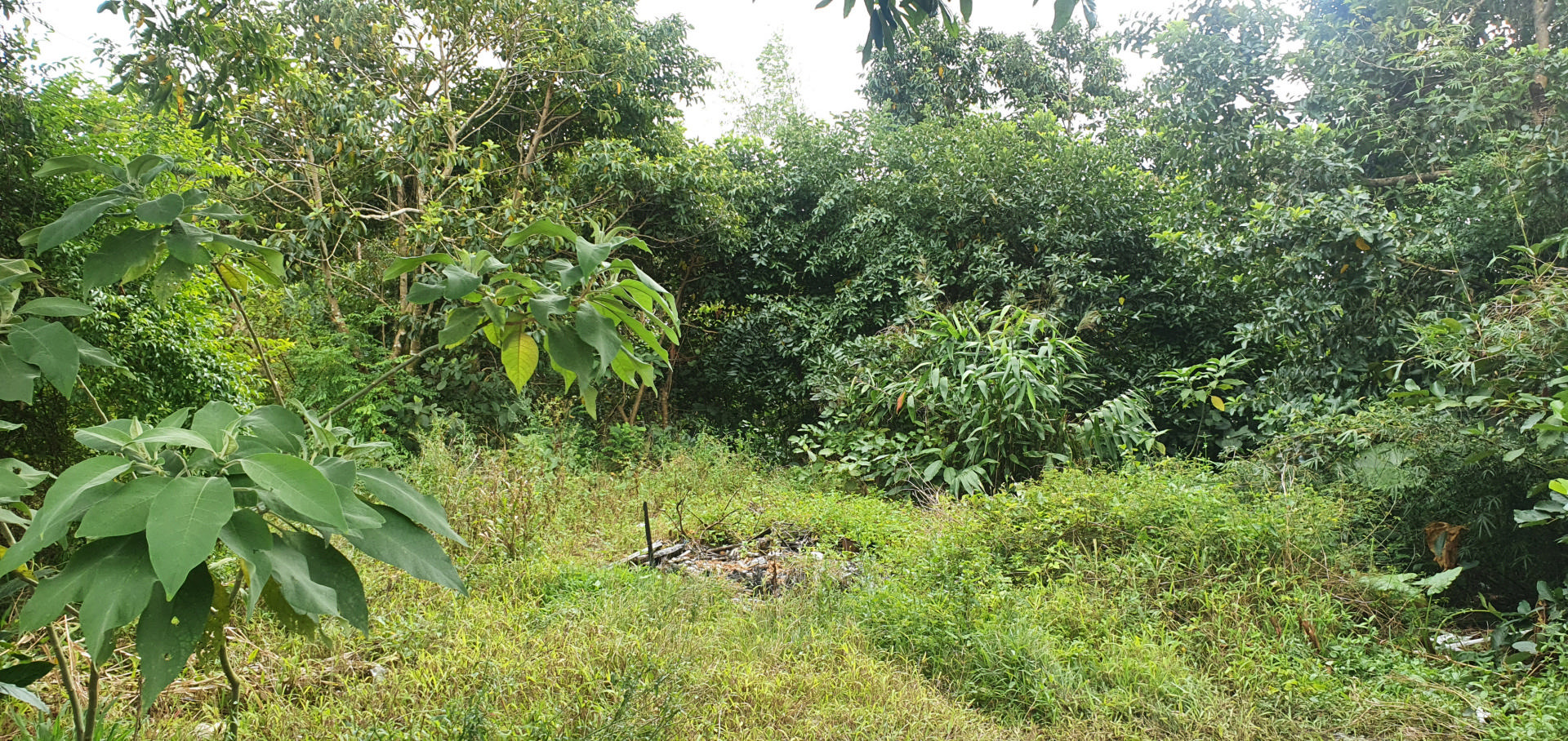 Terrain résidentiel de 1857 m2 en vente à Grand Bois, sud, île Maurice – LexpressProperty.com | 279850 | Ref01