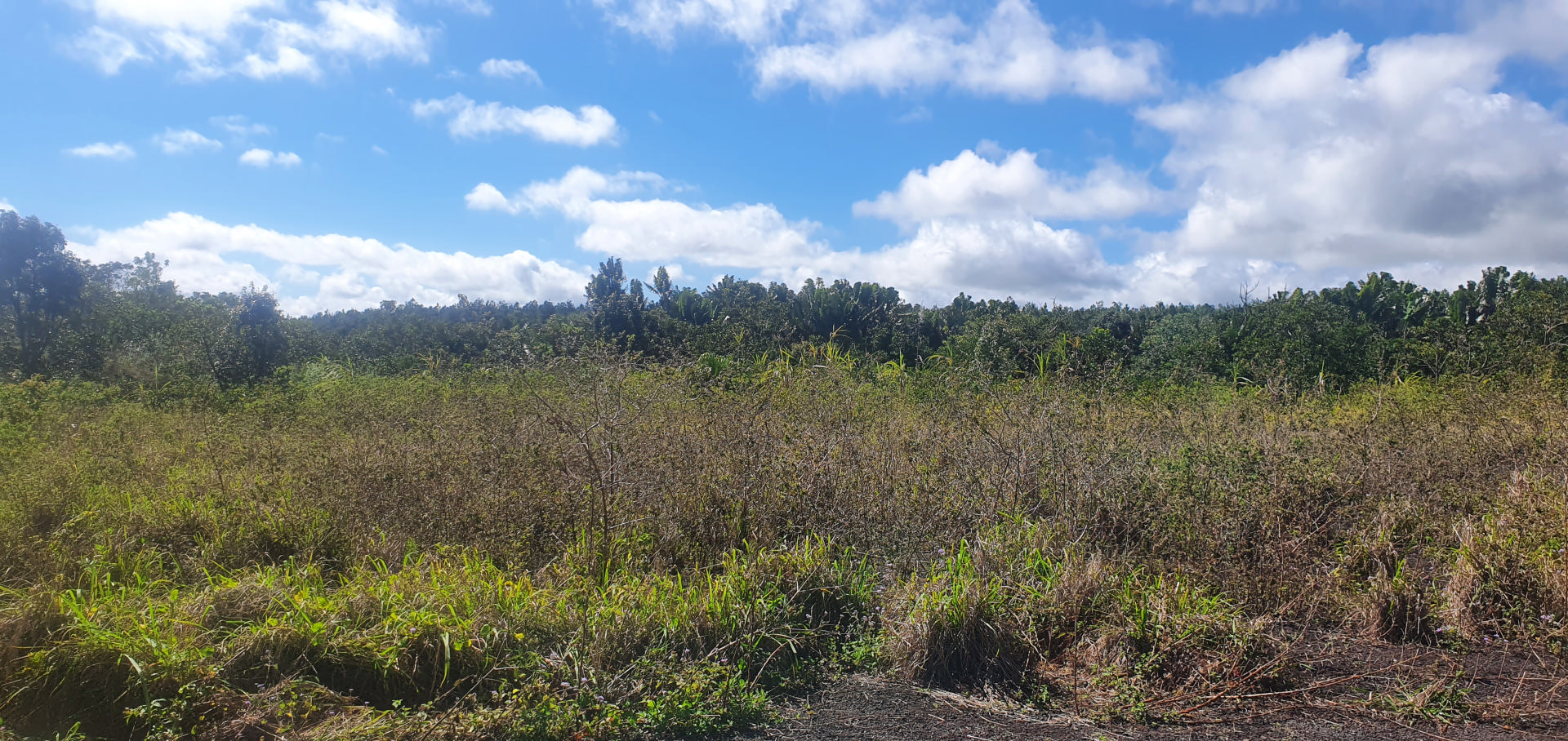 Terrain agricole de 4306 m2 en vente à Mare Longue, centre, île Maurice – LexpressProperty.com | 279848 | Ref01