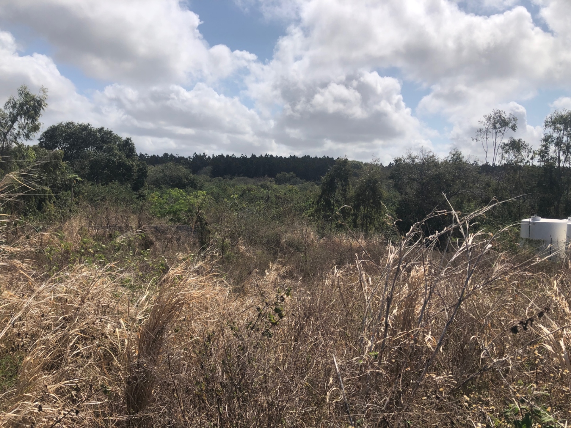 Residential land of 1221 m2 for sale in Bras d'Eau, east, Mauritius – LexpressProperty.com | 310428 | Ref01