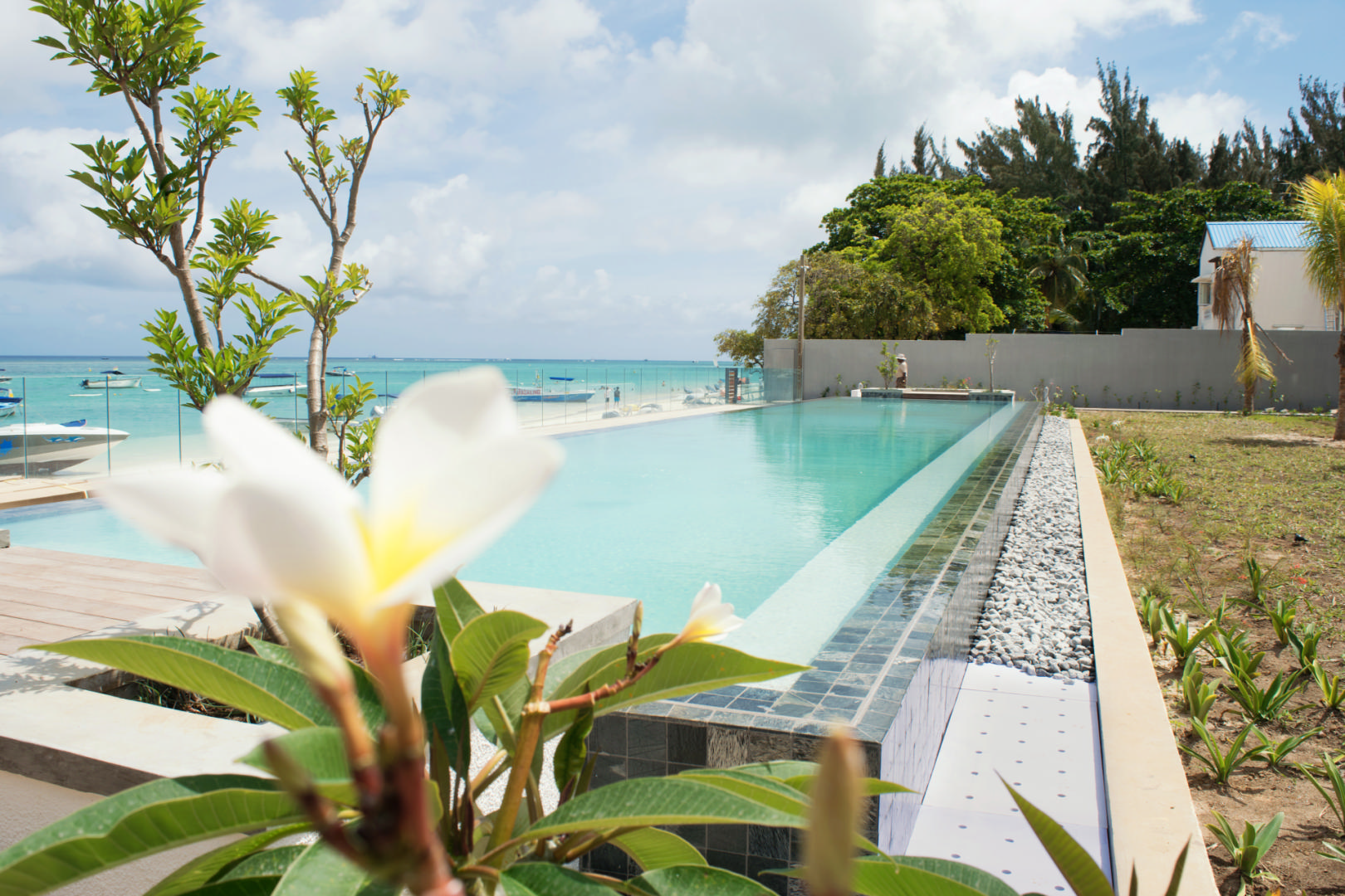 Penthouse of 2 bedrooms for holiday rental in Trou aux Biches, north, Mauritius – LexpressProperty.com | 225566 | Ref01