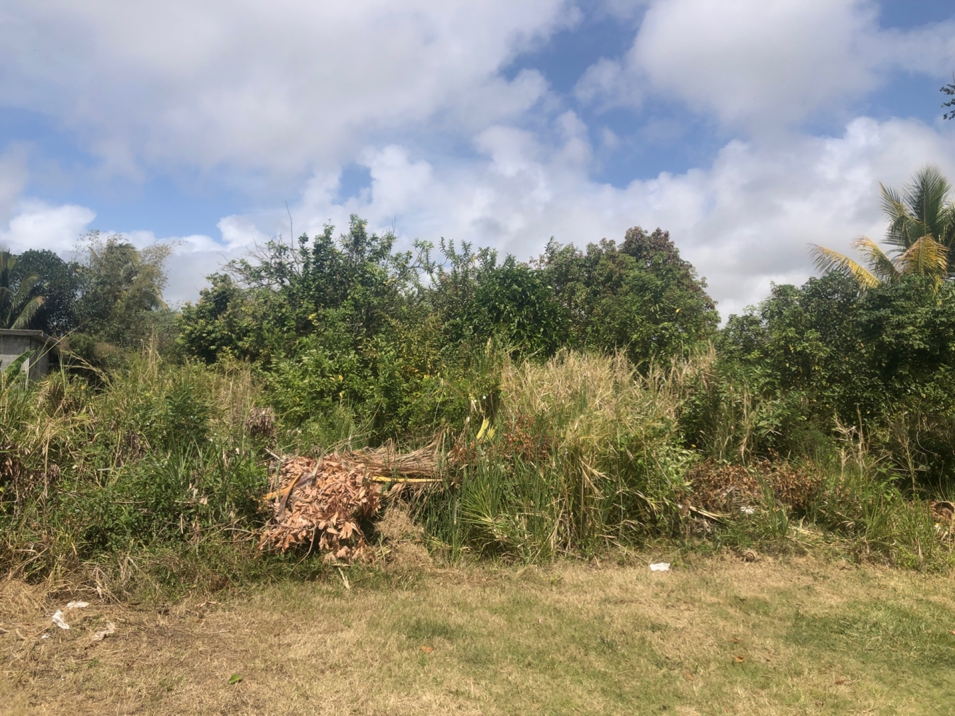 Terrain résidentiel de 1565 m2 en vente à Rivière Sèche, est, île Maurice – LexpressProperty.com | 309632 | Ref01