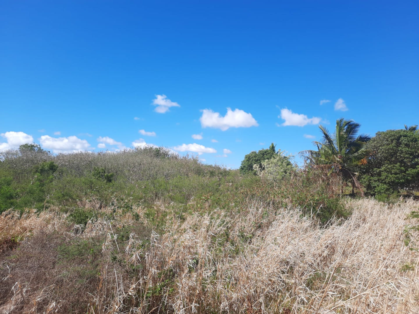 Property – LexpressProperty.com | 314080 | Ref01