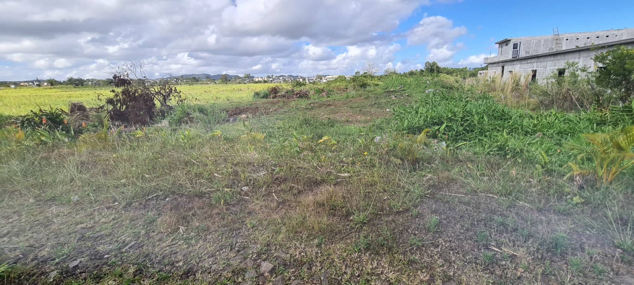Property – LexpressProperty.com | 314990 | Ref01