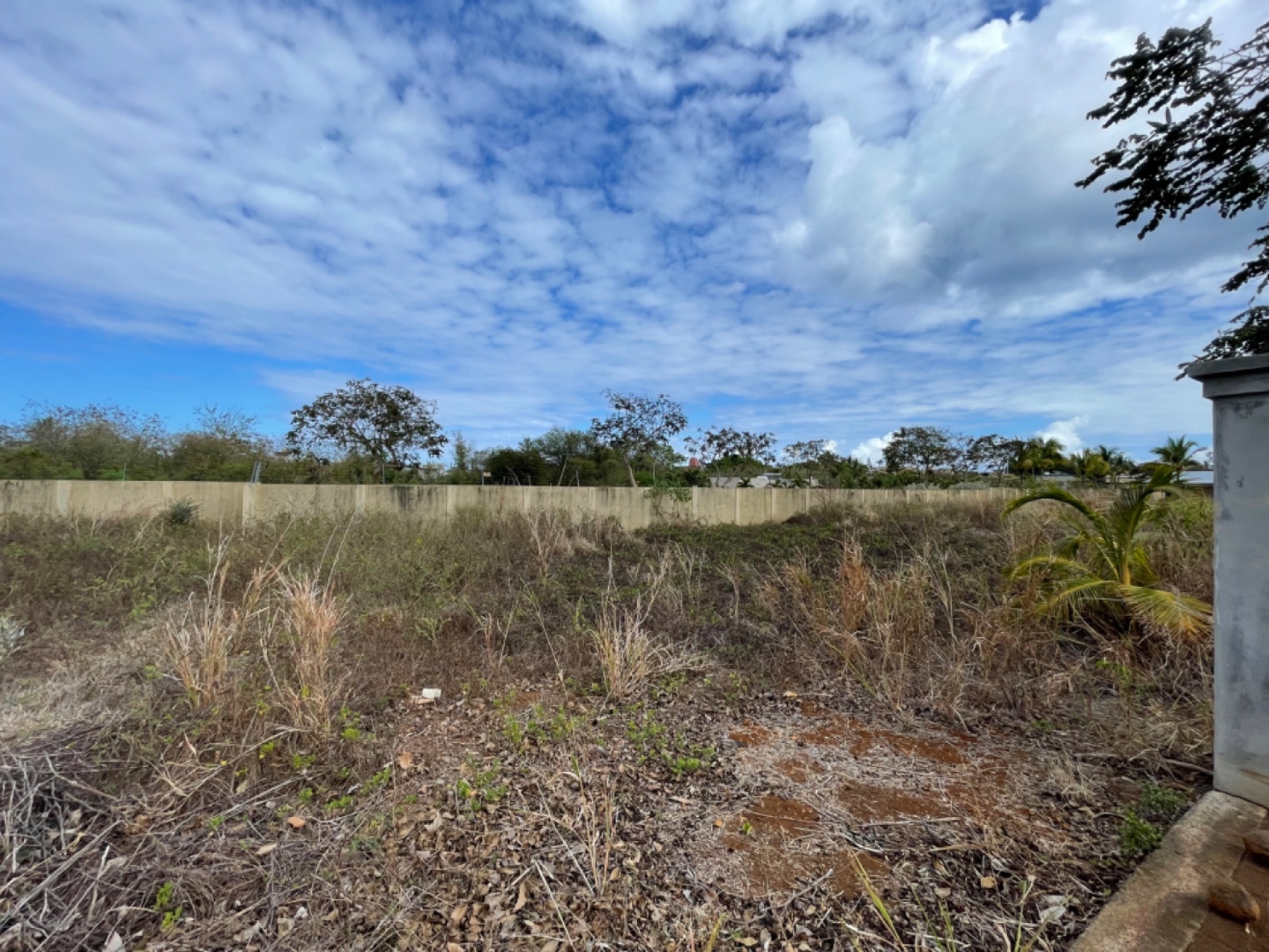 Property – LexpressProperty.com | 317870 | Ref01