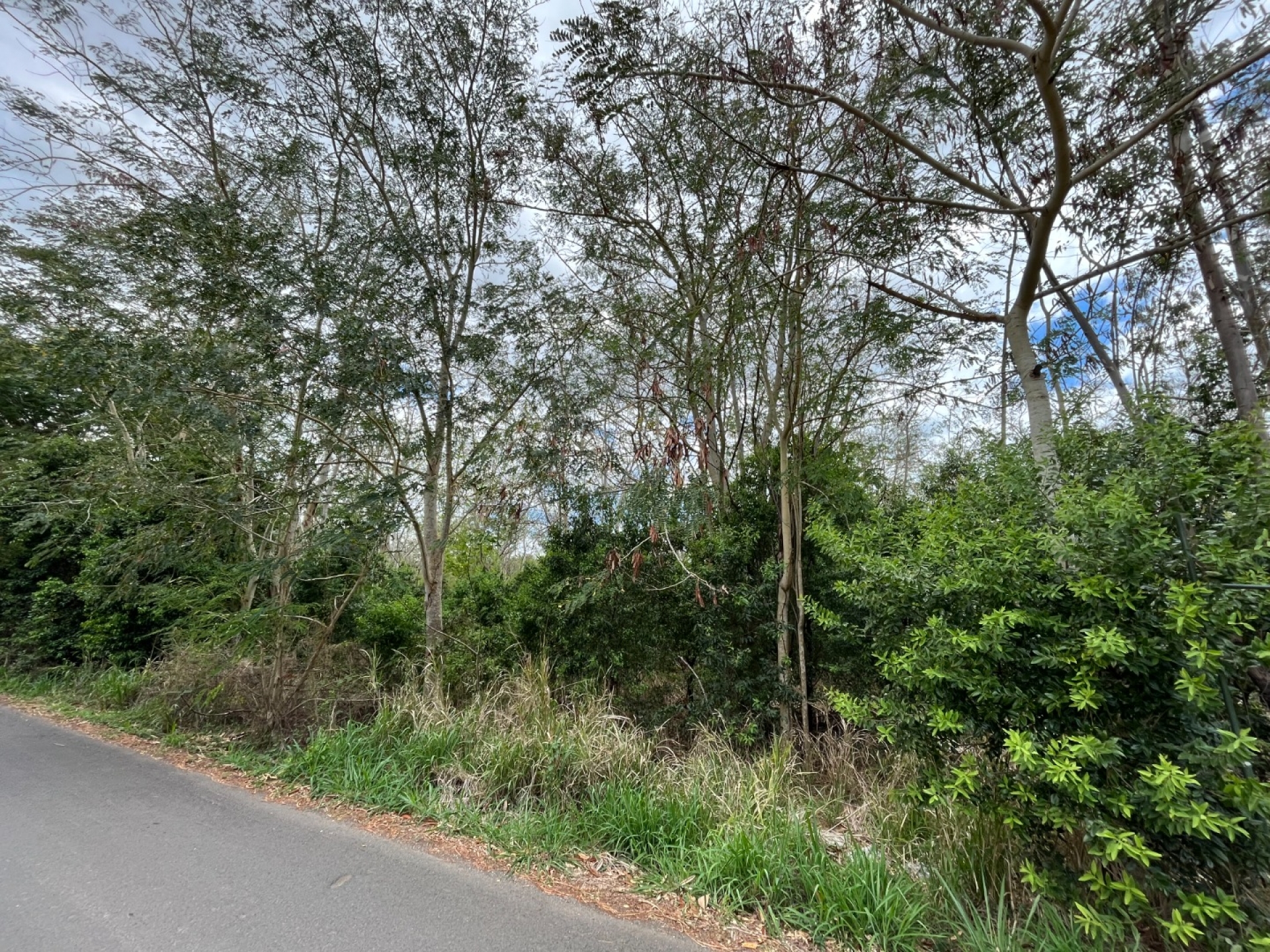 Property – LexpressProperty.com | 318578 | Ref01
