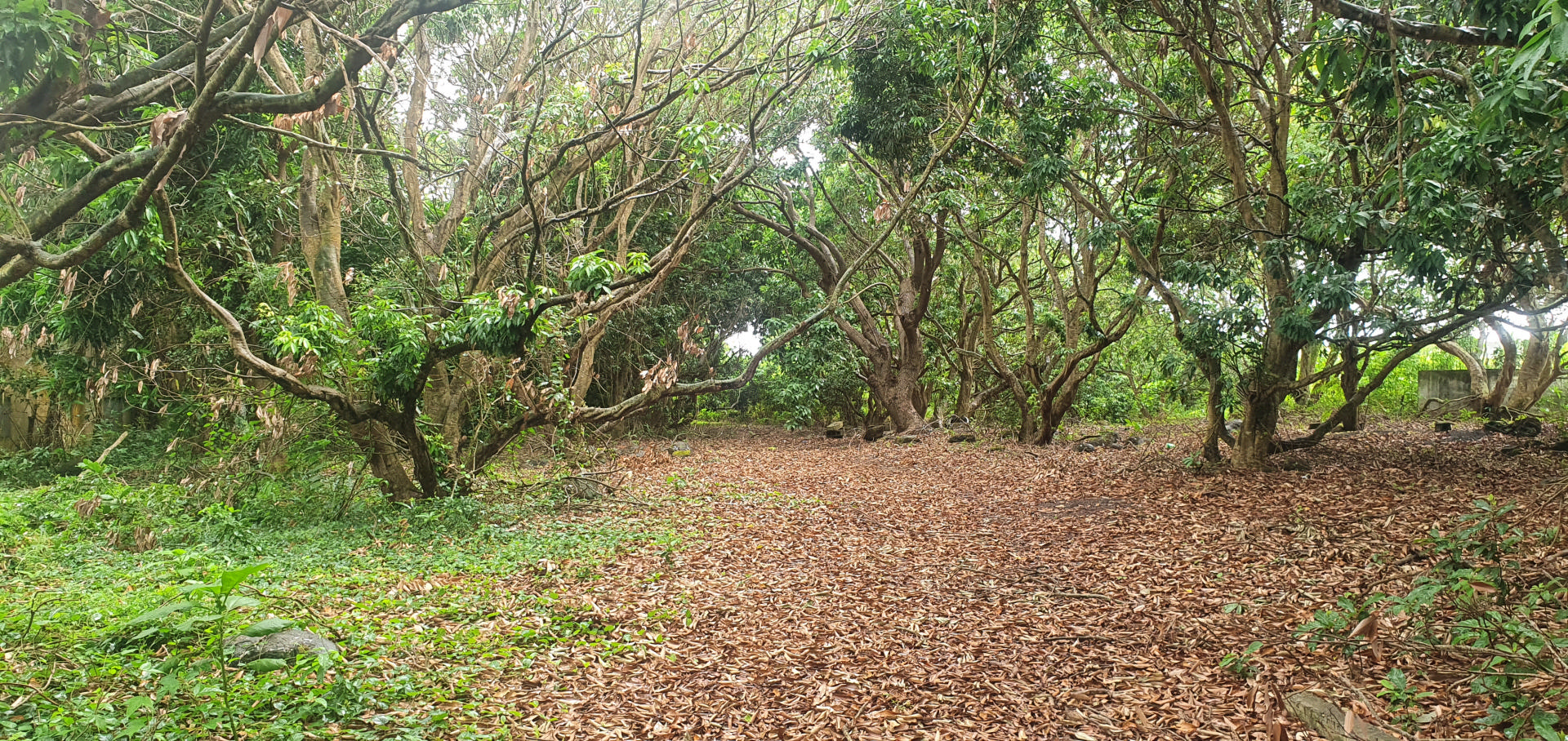 Residential land of 1710 m2 for sale in d'Epinay, north, Mauritius – LexpressProperty.com | 289293 | Ref01