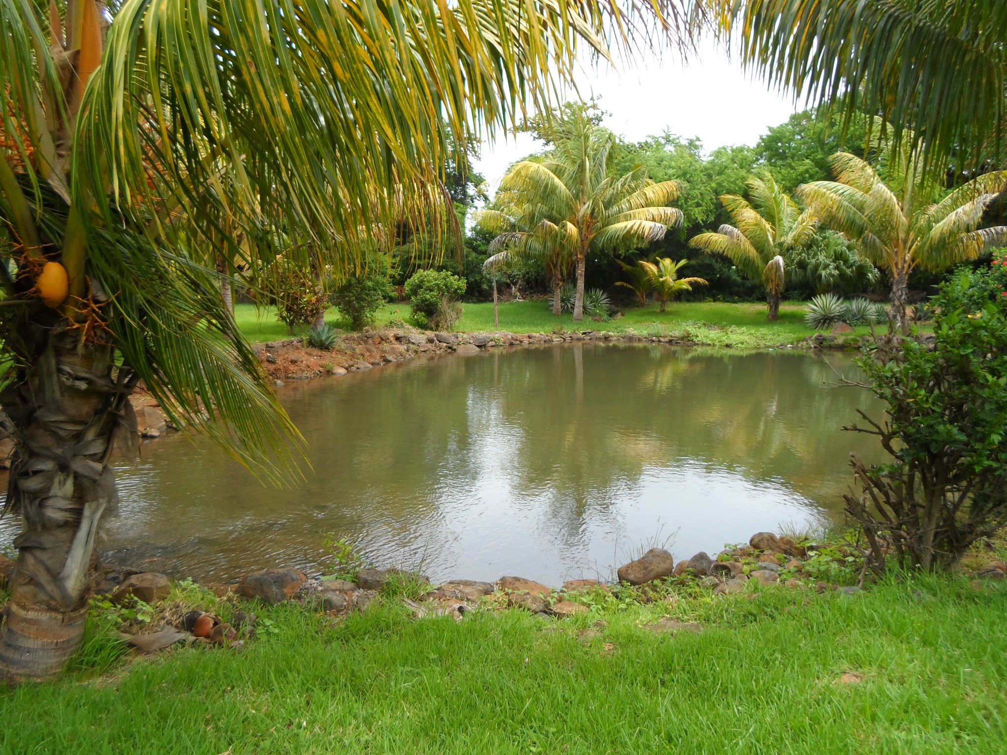 Residential land of 5957.08288 toise for sale in Albion, west, Mauritius – LexpressProperty.com | 287315 | Ref01