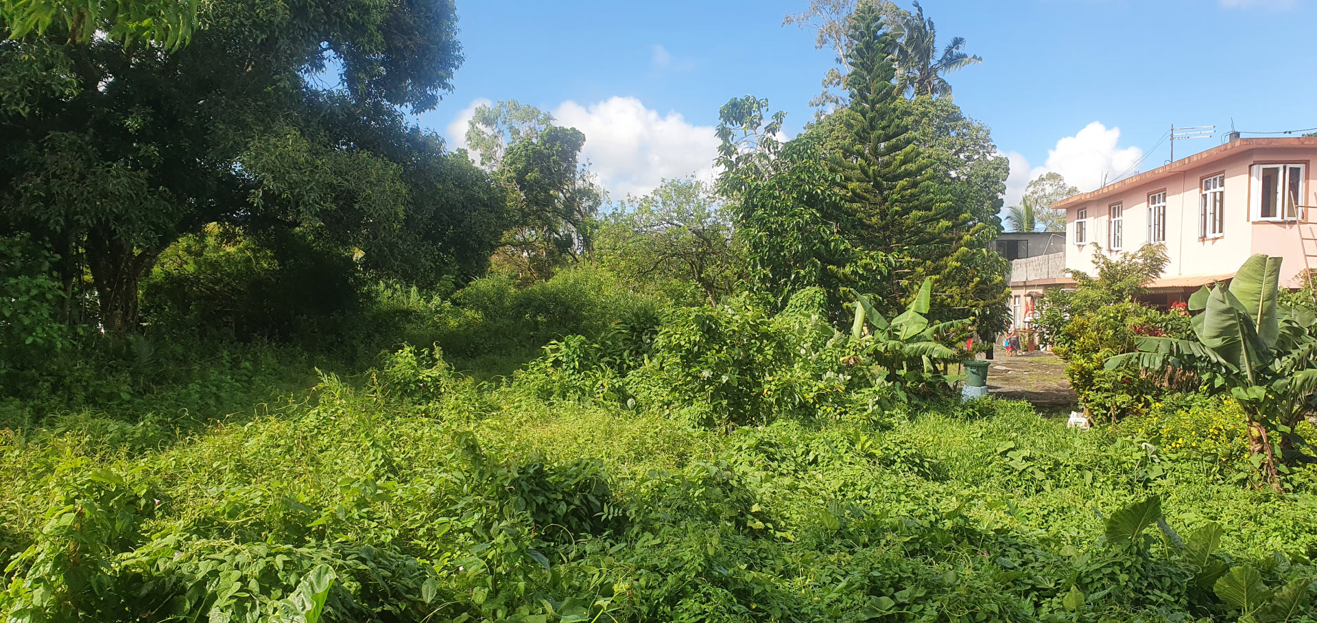 Terrain résidentiel de 2963 m2 en vente à Mare d'Australia, est, île Maurice – LexpressProperty.com | 290370 | Ref01