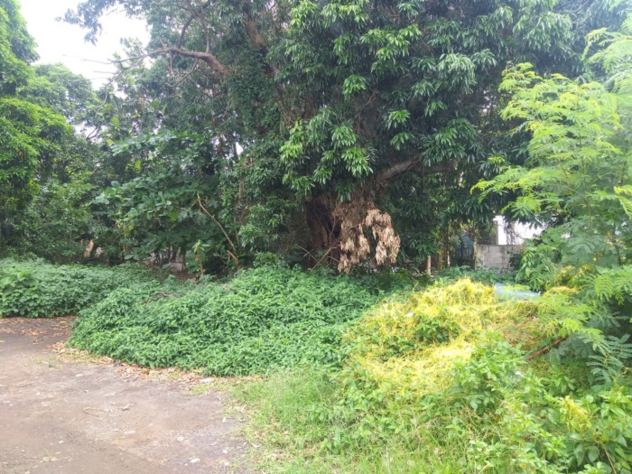 Property – LexpressProperty.com | 290732 | Ref01