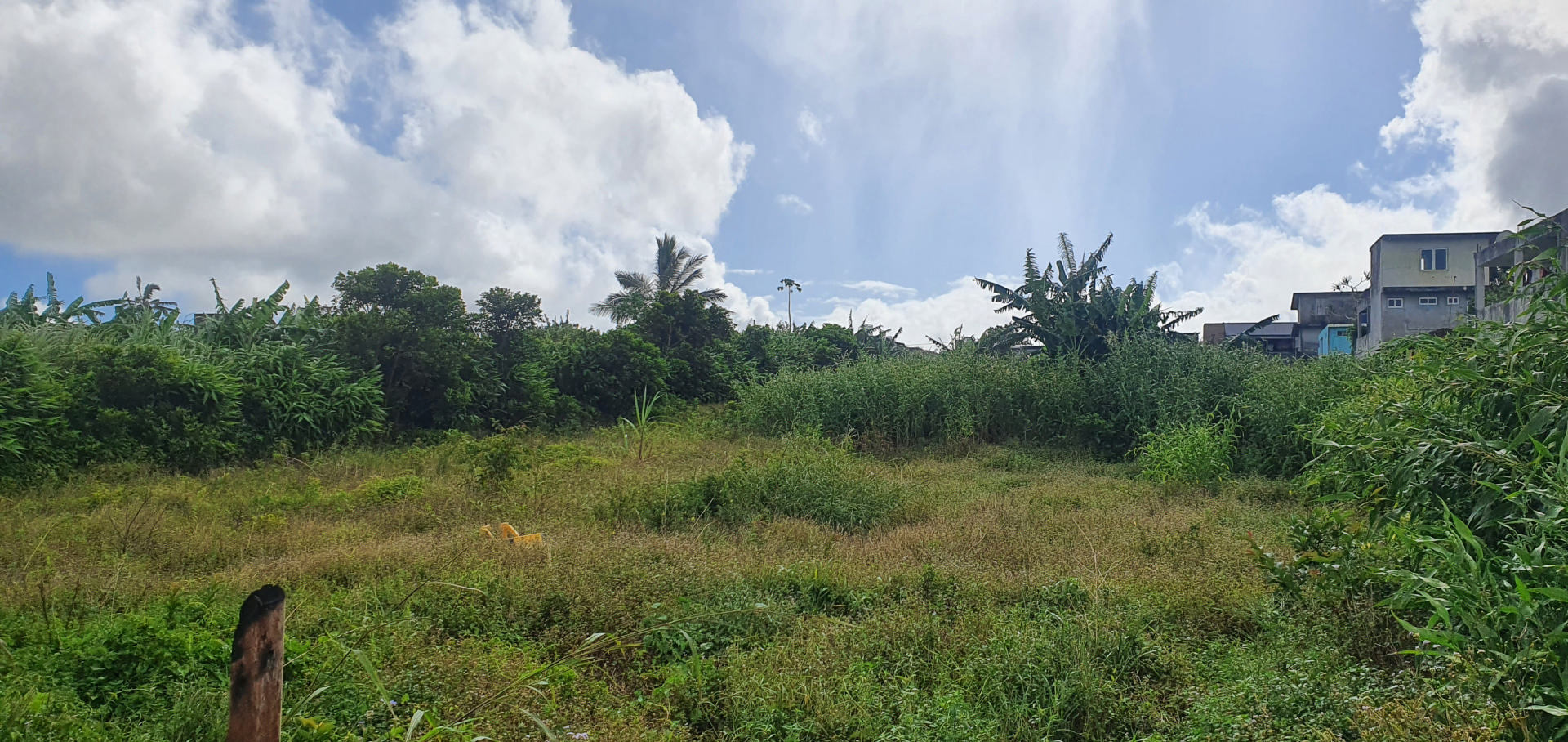 Property – LexpressProperty.com | 293104 | Ref01