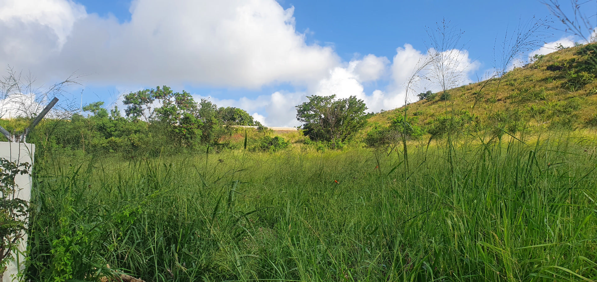 Residential land of 4221 m2 for sale in Coromandel, center, Mauritius – LexpressProperty.com | 293105 | Ref01