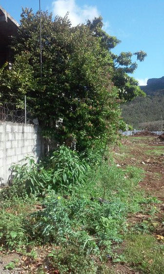 Terrain résidentiel de 6631 m2 en vente à Rose Hill, centre, île Maurice – LexpressProperty.com | 294013 | Ref01