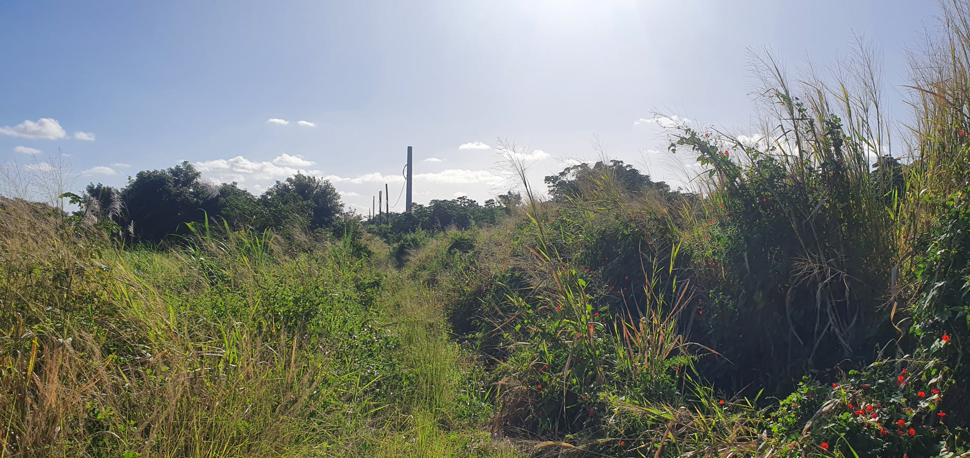 Property – LexpressProperty.com | 295300 | Ref01