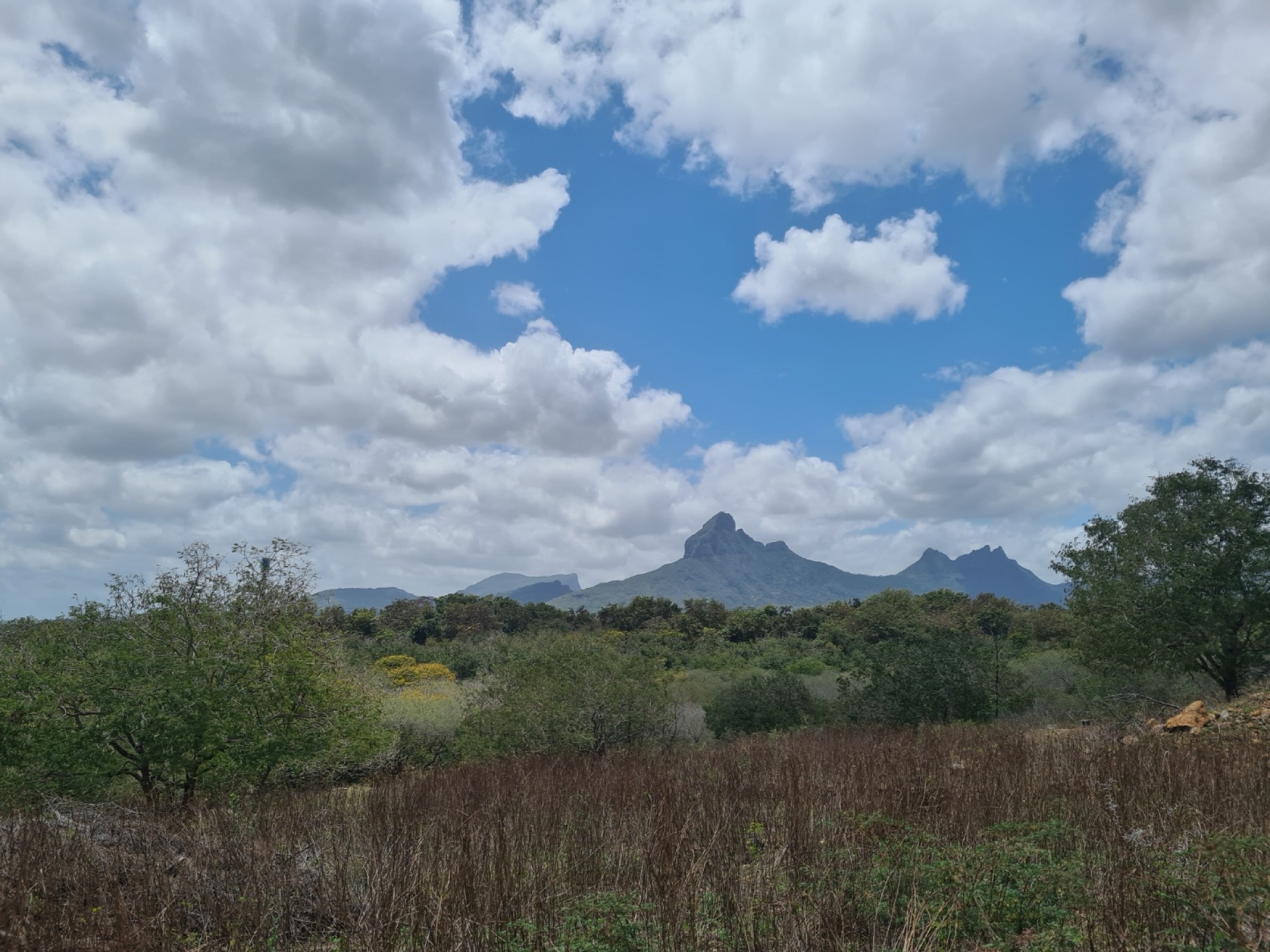 Property – LexpressProperty.com | 293737 | Ref01