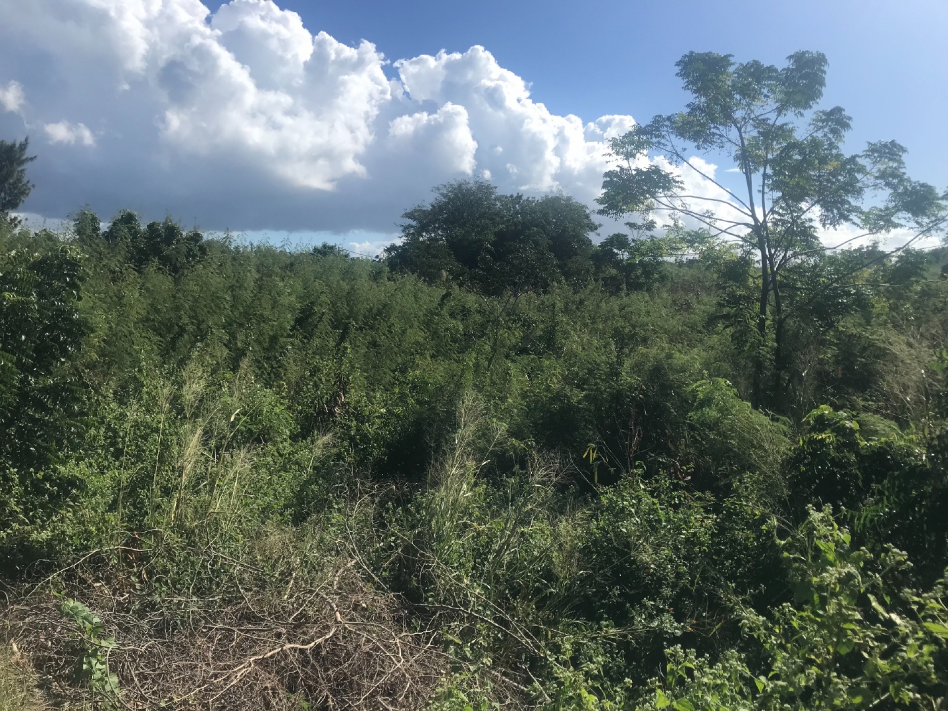 Terrain résidentiel de 633 m2 en vente à Grand Gaube, nord, île Maurice – LexpressProperty.com | 296892 | Ref01