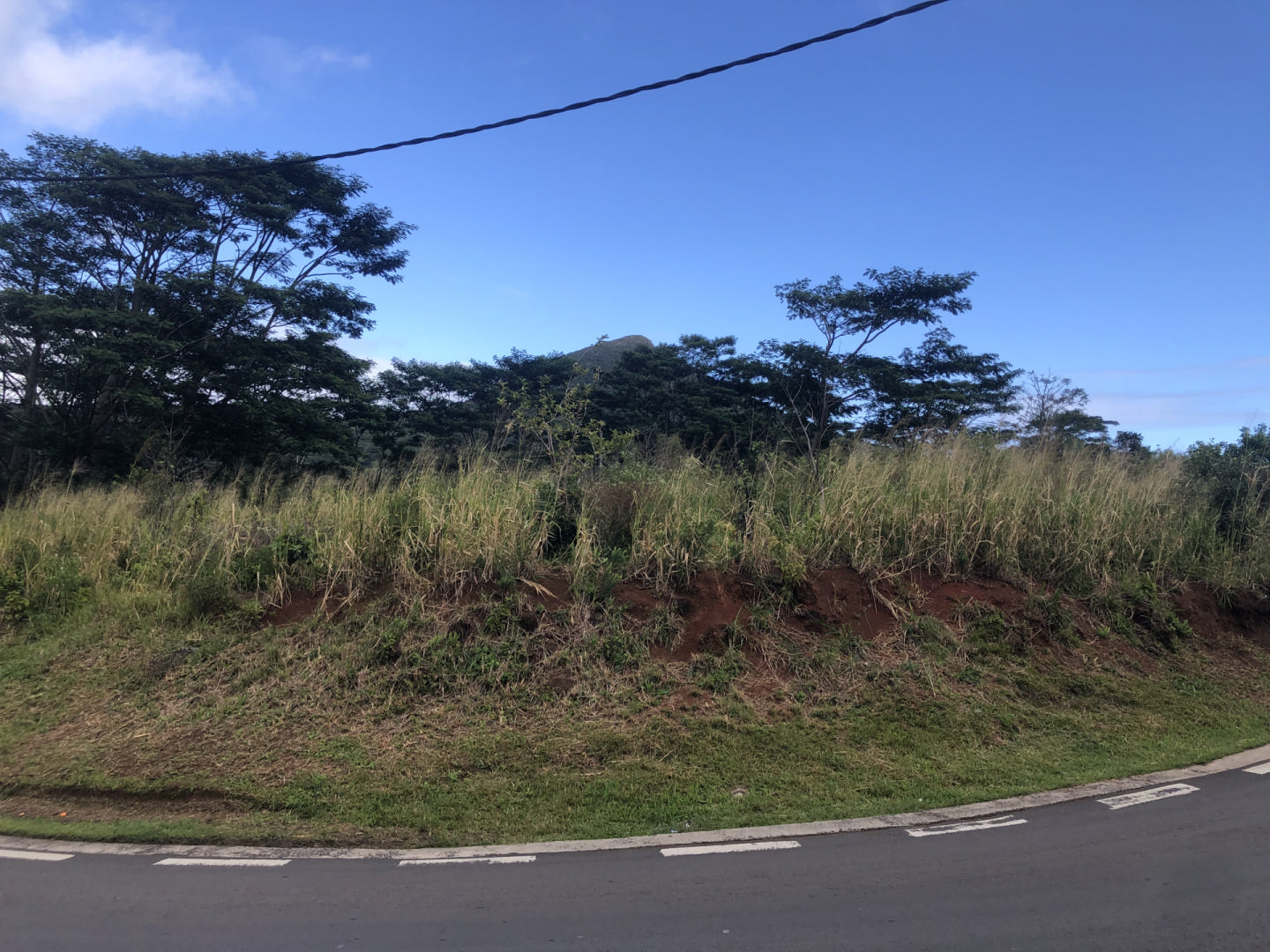 Agricultural land of 44778 m2 for sale in Chamarel, west, Mauritius – LexpressProperty.com | 297959 | Ref01