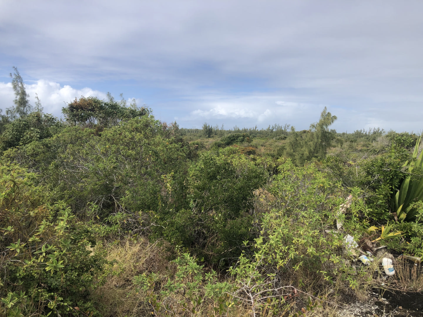 Agricultural land of 168840 m2 for sale in Poste Lafayette, east, Mauritius – LexpressProperty.com | 300570 | Ref01