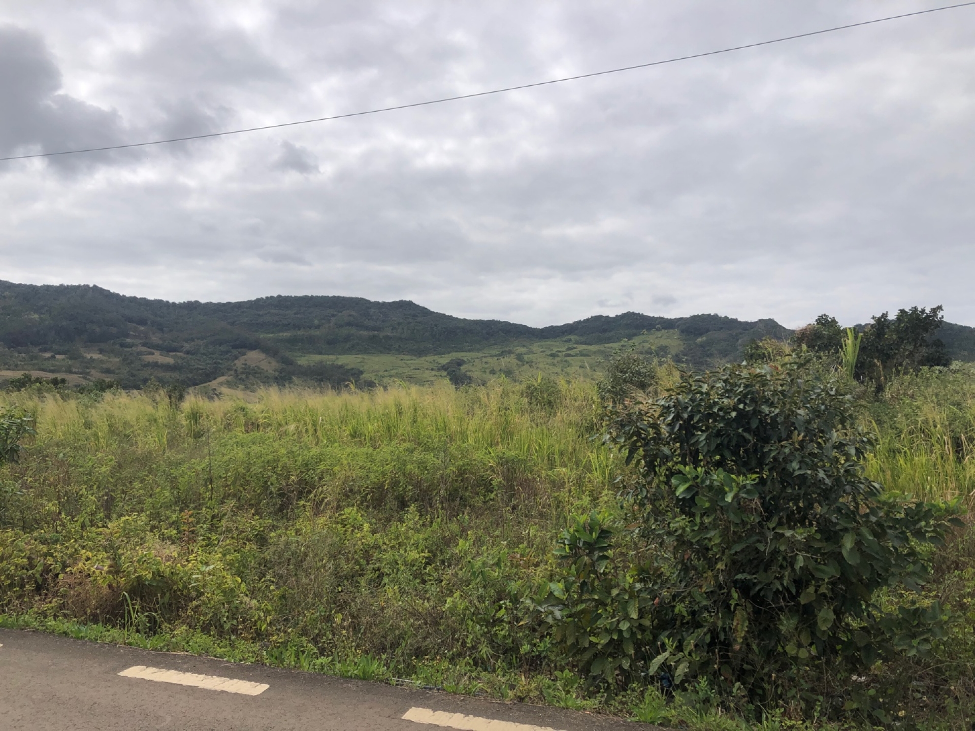 Agricultural land of 8442 m2 for sale in Chamouny, south, Mauritius – LexpressProperty.com | 304523 | Ref01