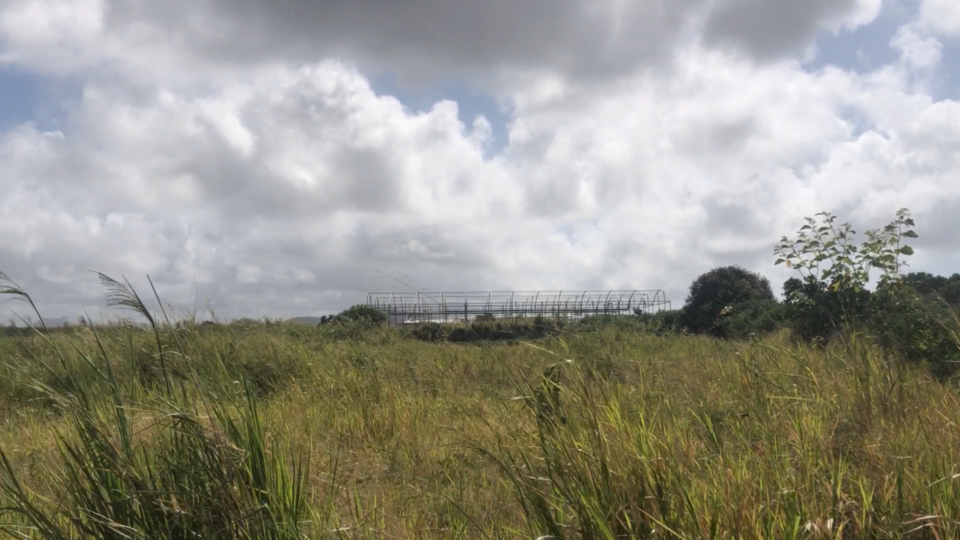 Agricultural land of 5000 m2 for sale in Mare d'Albert, south, Mauritius – LexpressProperty.com | 308286 | Ref01