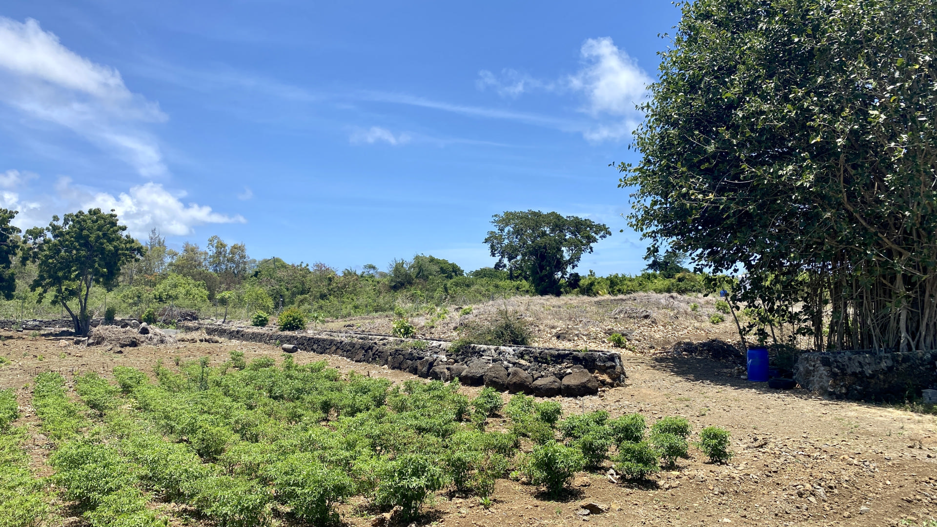 Property – LexpressProperty.com | 320992 | Ref01