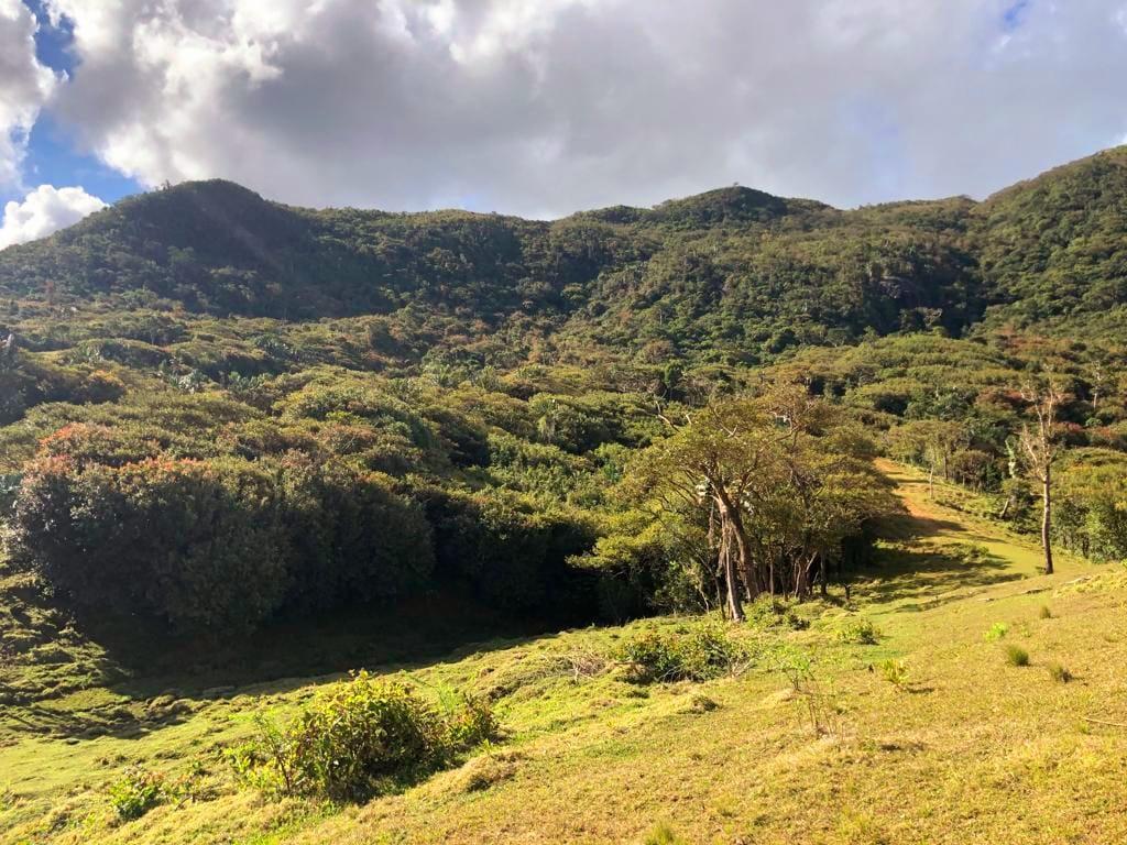 Residential land of 318 m2 for sale in Eau Bleue, south, Mauritius – LexpressProperty.com | 374551 | Ref01