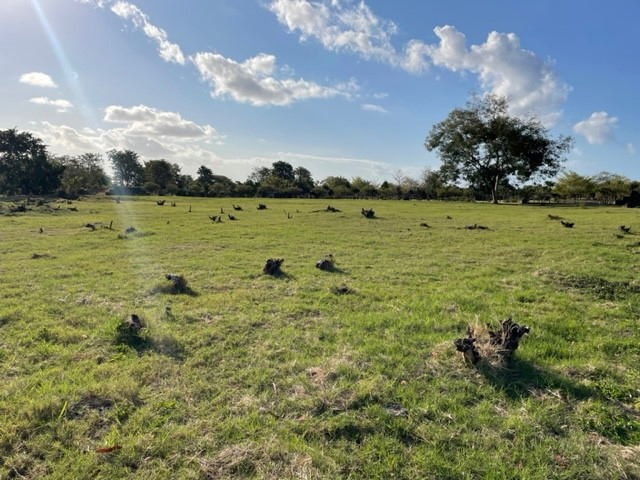 Property – LexpressProperty.com | 381789 | Ref01