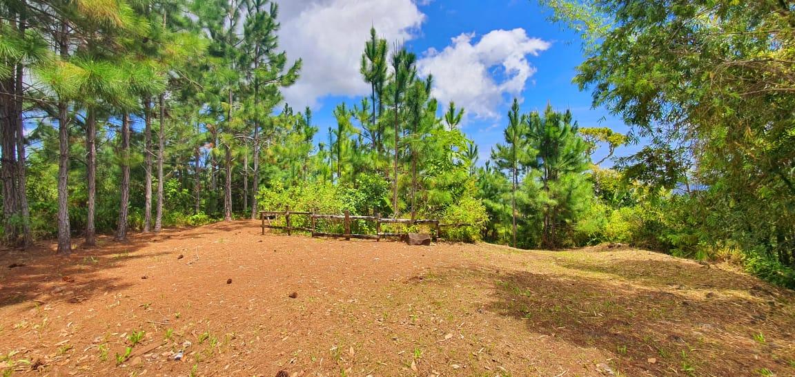 Residential land of 16885 m2 for sale in Chamarel, west, Mauritius – LexpressProperty.com | 382492 | Ref01