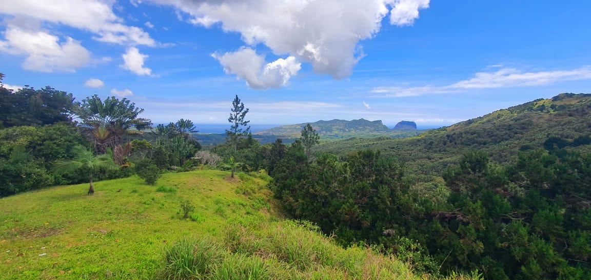 Commercial land of 8984 m2 for sale in Chamarel, west, Mauritius – LexpressProperty.com | 382560 | Ref01